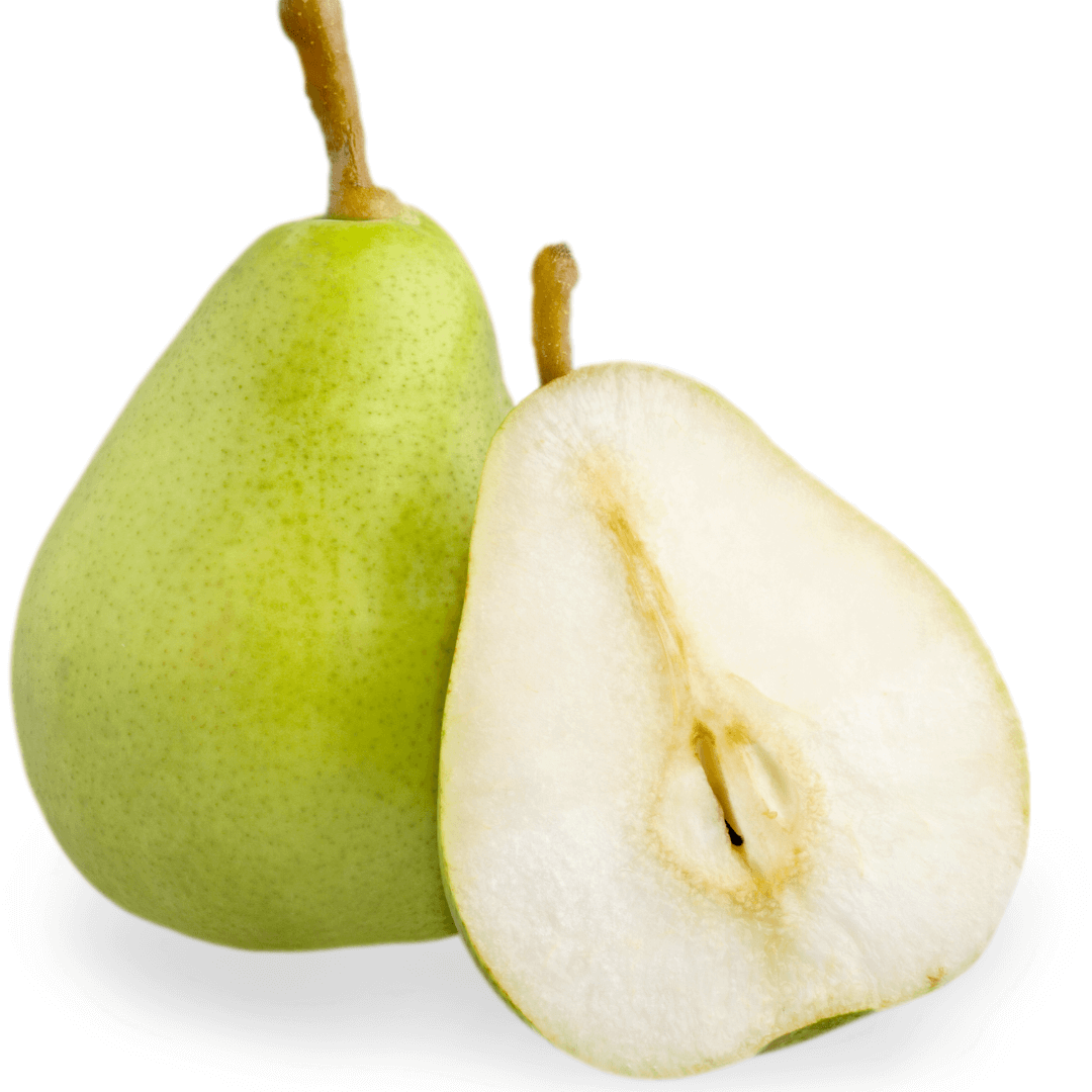 Pear Bartlett tree with lush green leaves and abundant, round pears, perfect for orchards and home gardens.