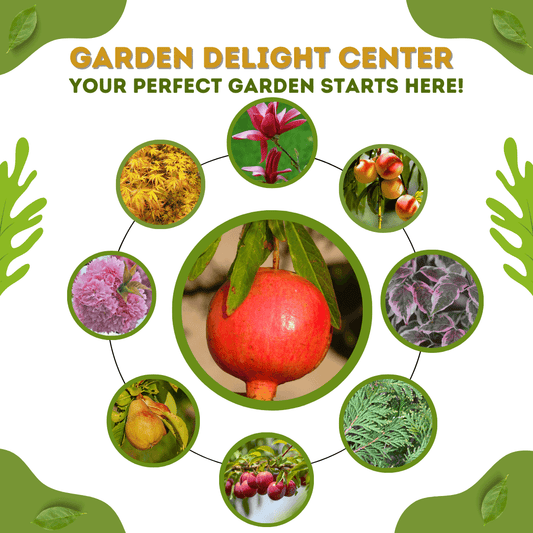 Step into a Green Oasis at Garden Delight Center, Woodford, Virginia. Garden Delight Center