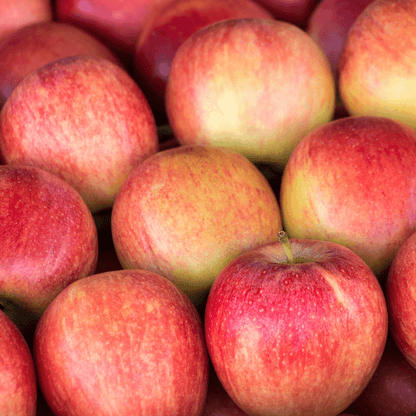 Apple Gala (Semi Dwarf M106) tree with crisp red apples and compact growth, ideal for home orchards and small gardens.