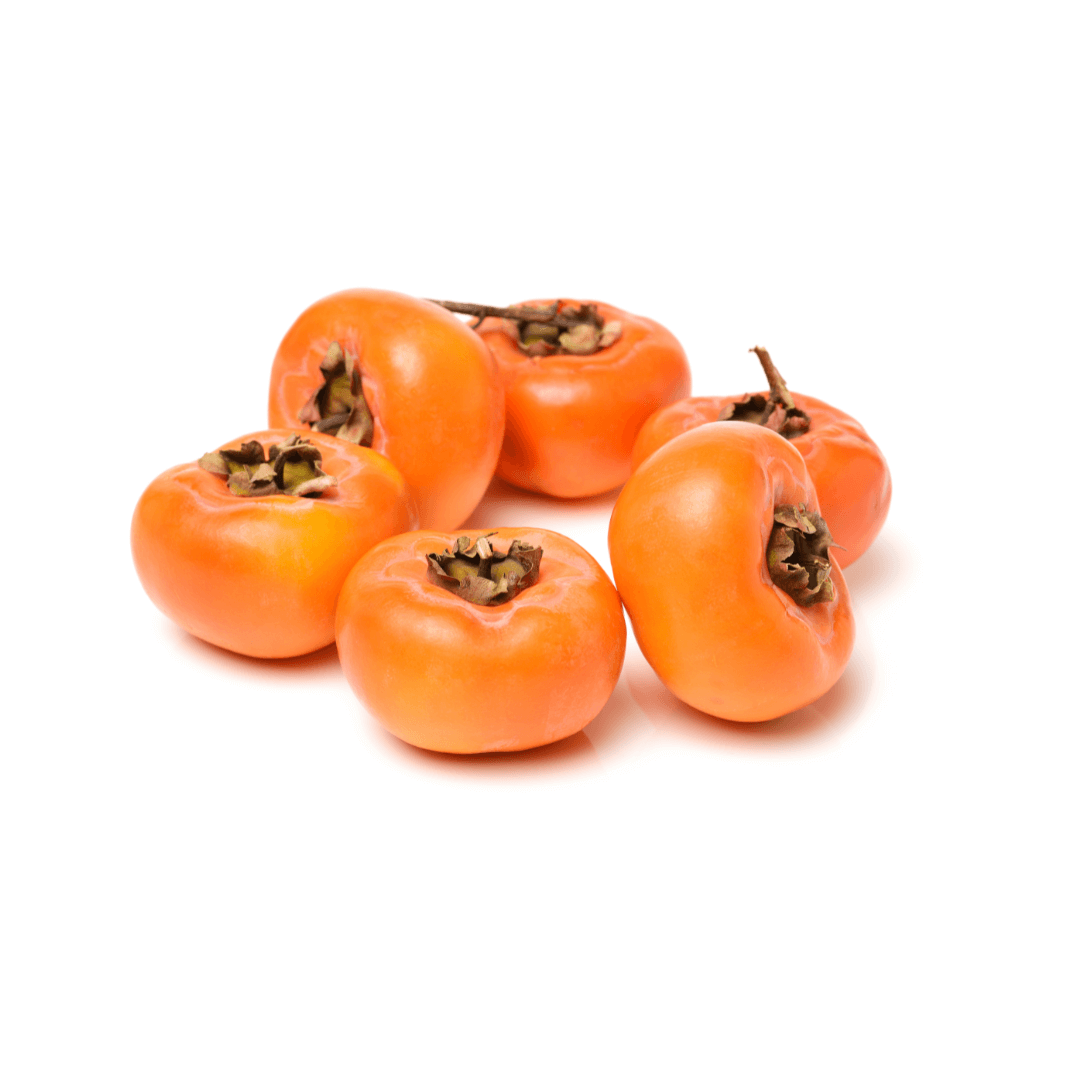 Fuyu persimmon tree with glossy green leaves and round, orange, tomato-shaped fruits ripening on the branches.